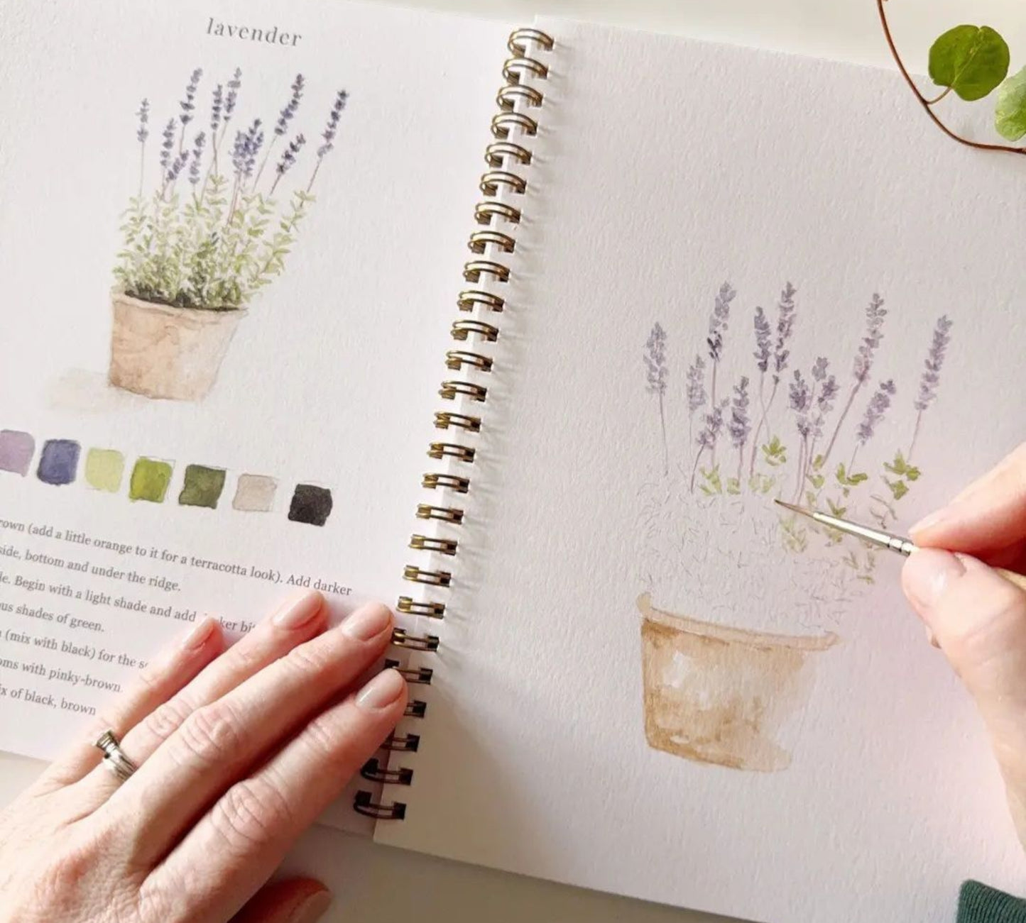 Garden Watercolor Workbook