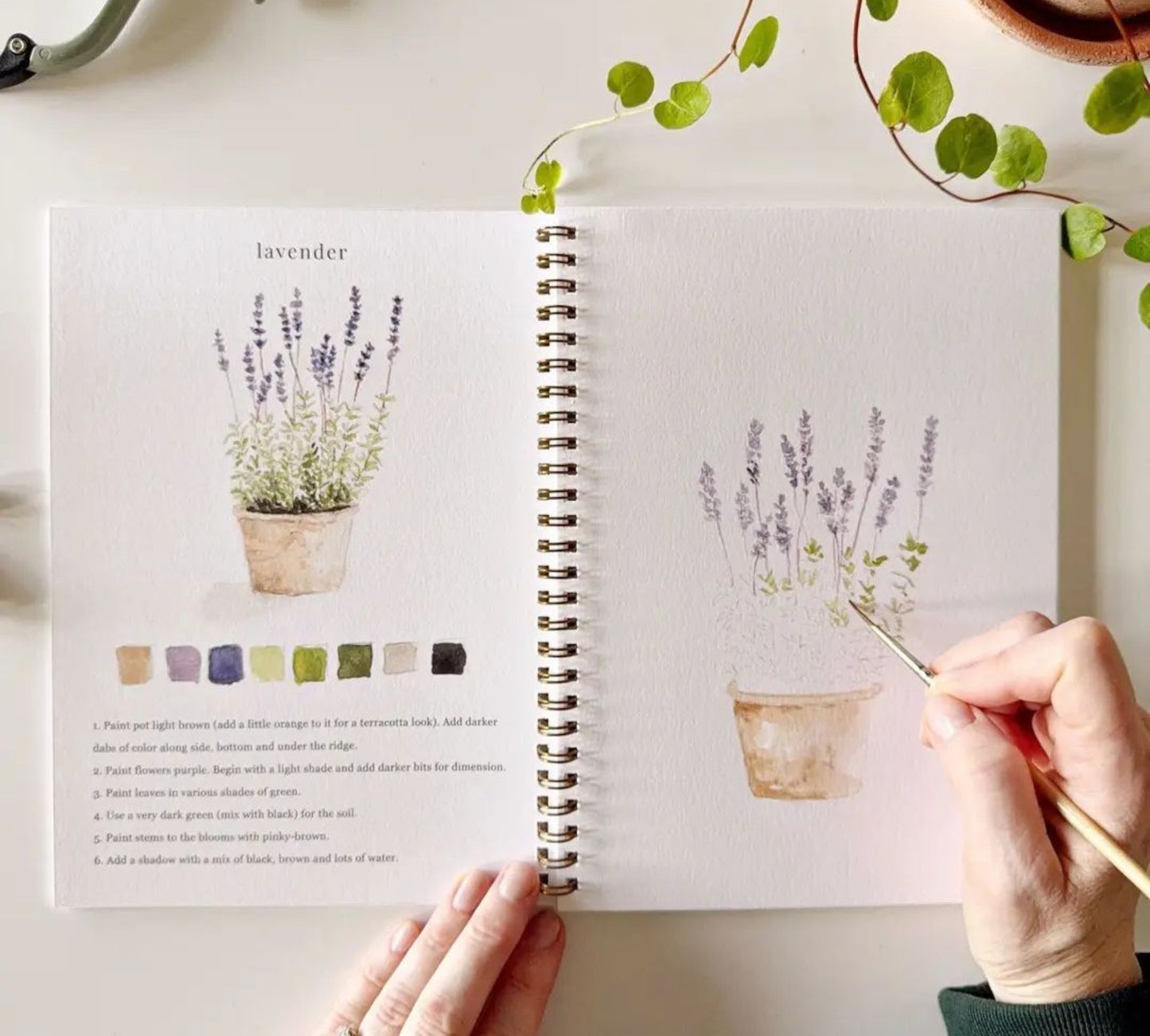 Garden Watercolor Workbook